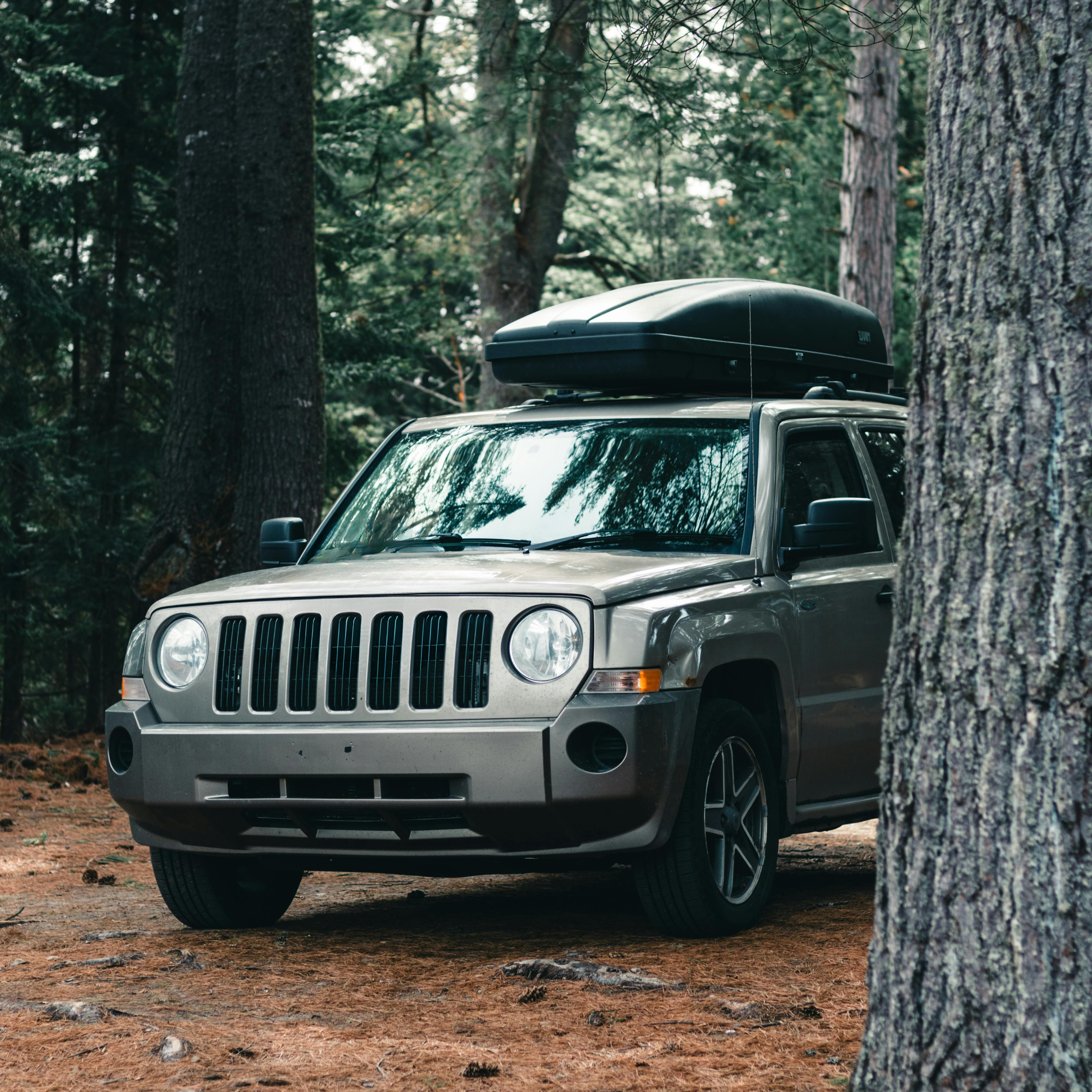 Dakdragers visual.png